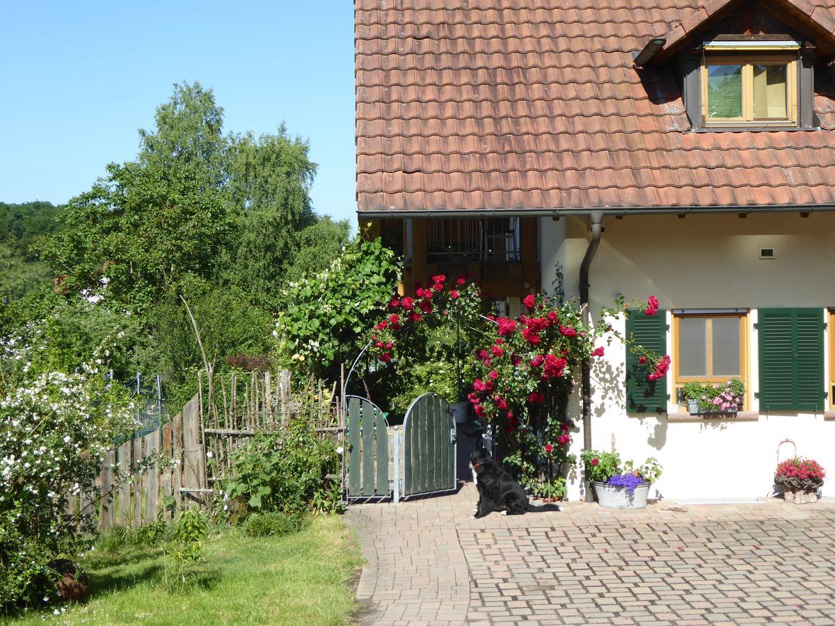 Ferienwohnung Waldblick Zweibrücken Exteriér fotografie